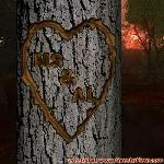Proof of Love!