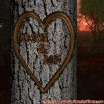 Proof of Love!