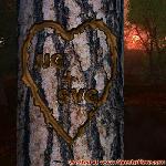 Proof of Love!