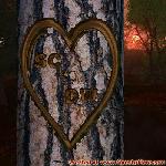 Proof of Love!