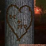Proof of Love!