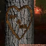 Proof of Love!