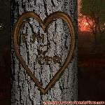 Proof of Love!