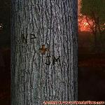 Proof of Love!