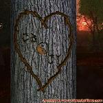 Proof of Love!