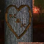 Proof of Love!