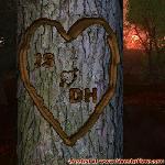 Proof of Love!