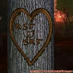 Proof of Love!