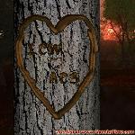 Proof of Love!