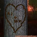 Proof of Love!