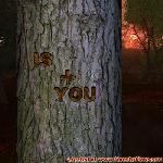 Proof of Love!