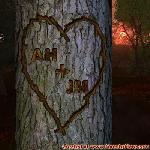 Proof of Love!