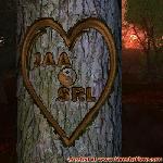 Proof of Love!