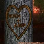 Proof of Love!
