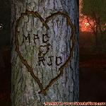 Proof of Love!