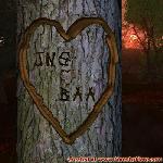 Proof of Love!