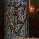 Proof of Love!