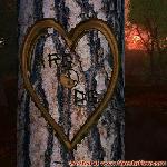 Proof of Love!