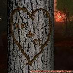 Proof of Love!