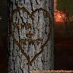 Proof of Love!