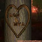 Proof of Love!