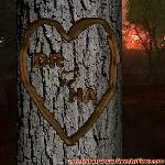Proof of Love!