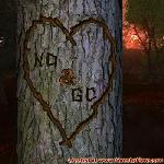 Proof of Love!