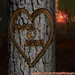 Proof of Love!