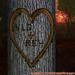 Proof of Love!