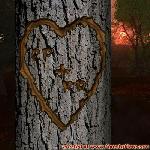 Proof of Love!
