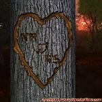 Proof of Love!