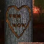 Proof of Love!