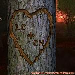 Proof of Love!
