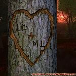 Proof of Love!