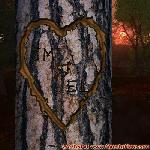 Proof of Love!