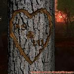 Proof of Love!