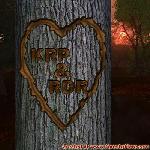 Proof of Love!