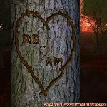 Proof of Love!