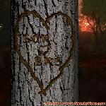 Proof of Love!