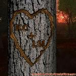 Proof of Love!