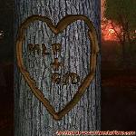Proof of Love!