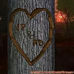 Proof of Love!