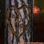 Proof of Love!