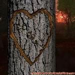 Proof of Love!