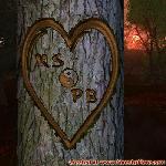 Proof of Love!