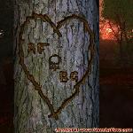 Proof of Love!