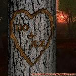 Proof of Love!