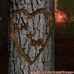 Proof of Love!