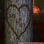 Proof of Love!