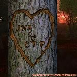 Proof of Love!